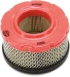 Briggs & Stratton 797819 Air Cleaner Cartridge Filter 6cd1c8234a18afc59706143cee15cdbb67aac58959aedcae740158a78b70a30f-1.jpg
