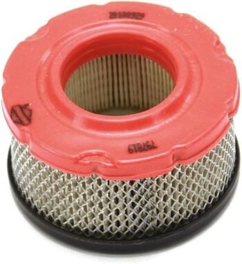 Briggs & Stratton 797819 Air Cleaner Cartridge Filter